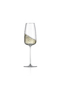 Rona Orbital Champagne Flute 