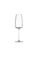 Rona Orbital Champagne Flute 