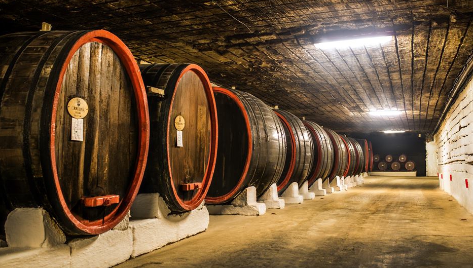 Istoria vinariei CRICOVA