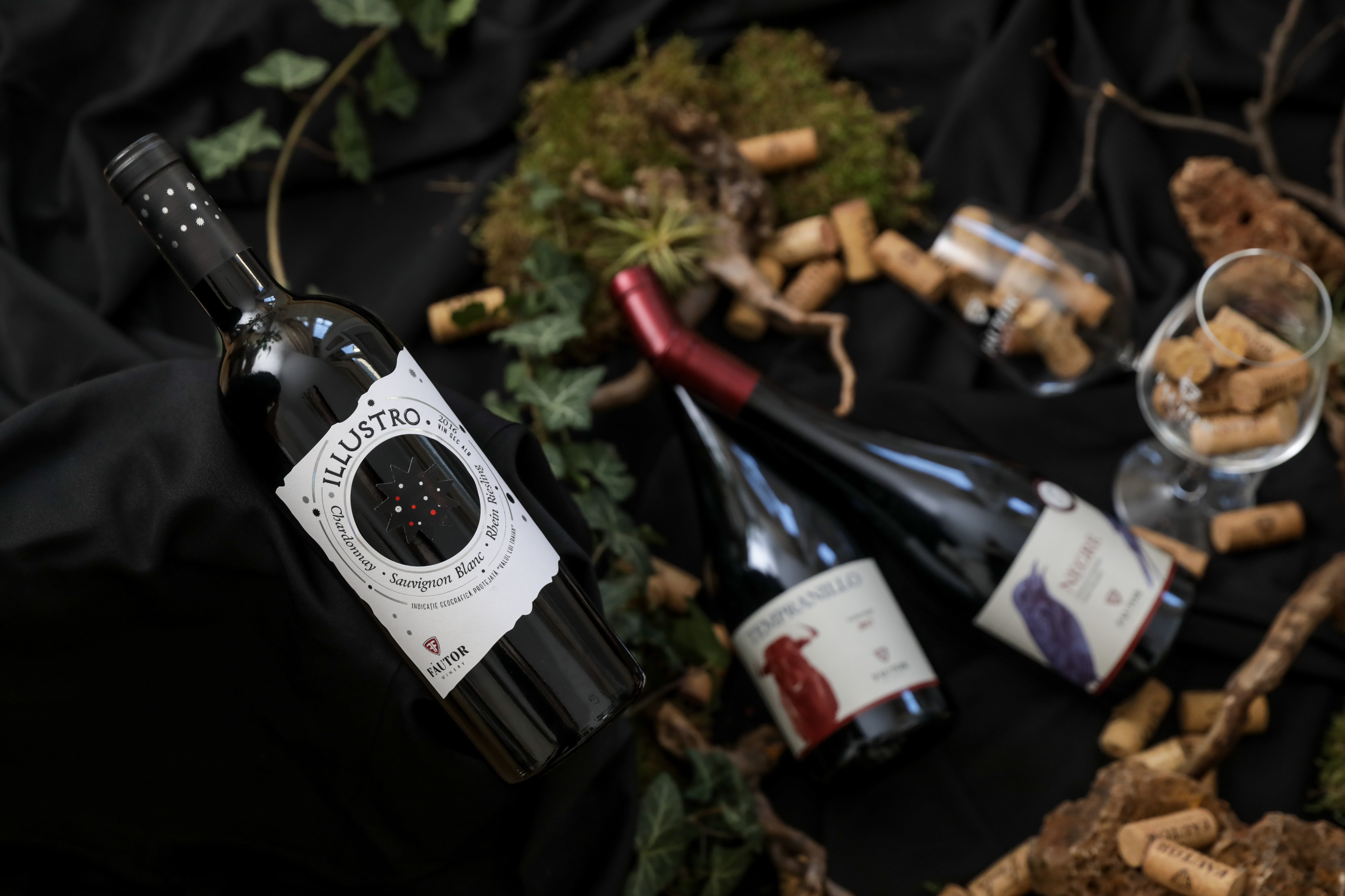 Istoria Vinariei 