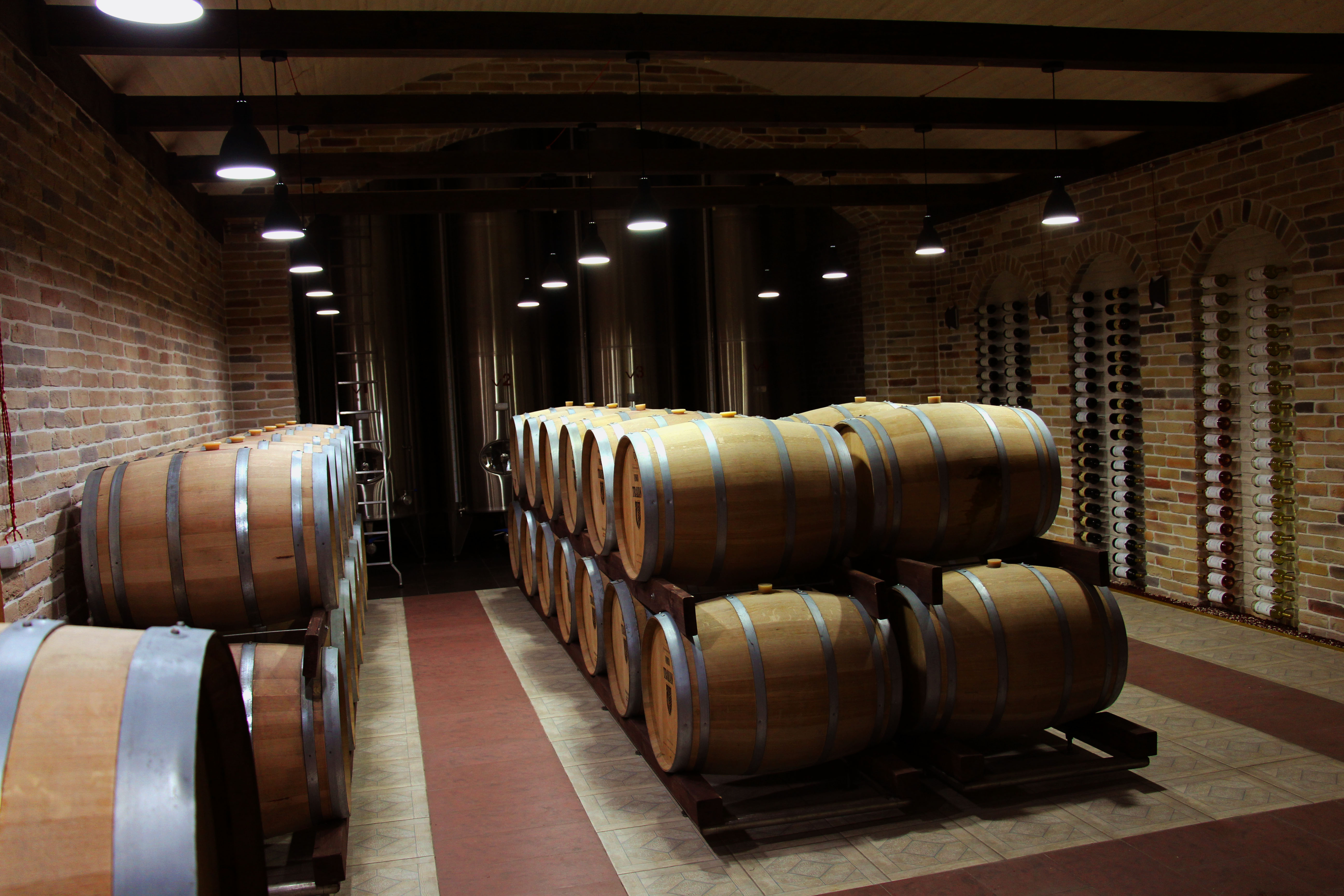 Istoria vinariei Vinia Traian