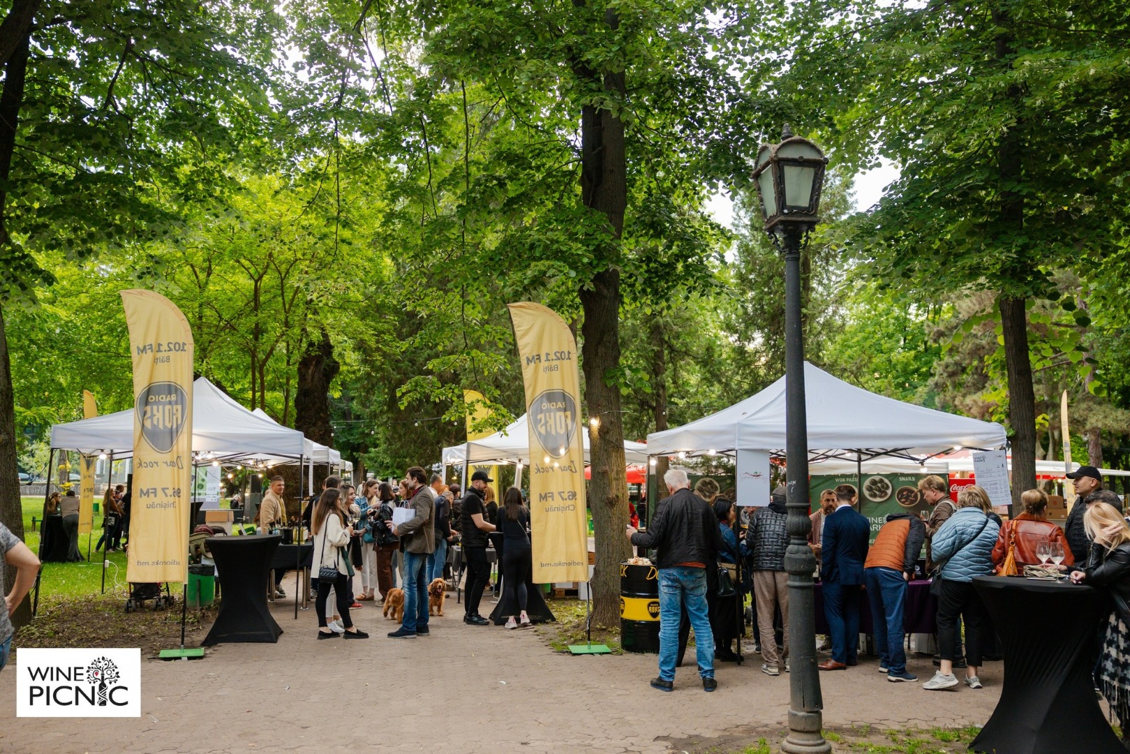 Ghidul complet pentru participarea la un festival de vin