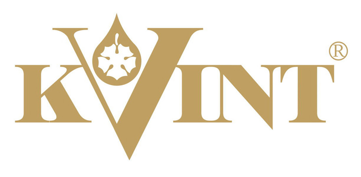 Kvint