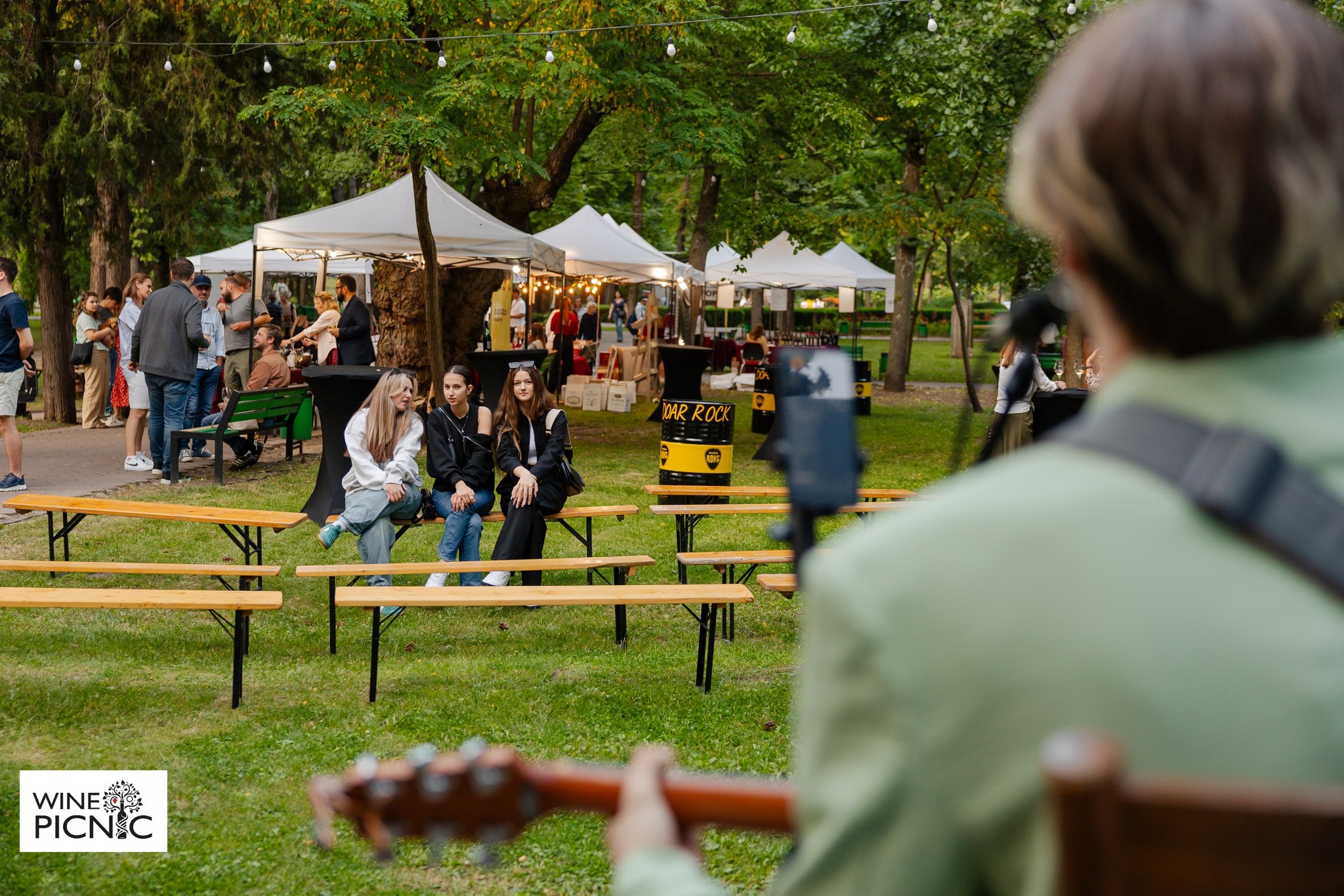 Why Wine Festivals Are Becoming Increasingly Popular in Europe and Moldova?